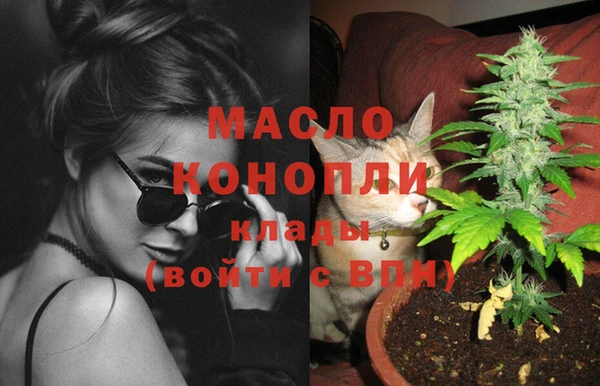 сатива Козловка