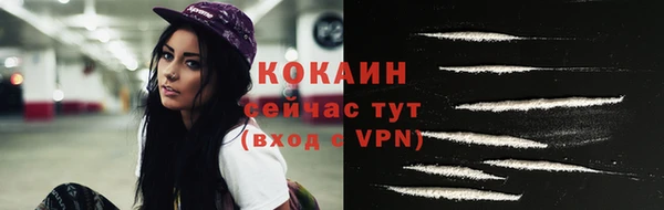 сатива Козловка