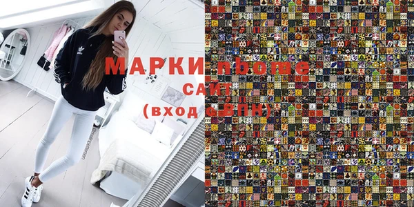 сатива Козловка