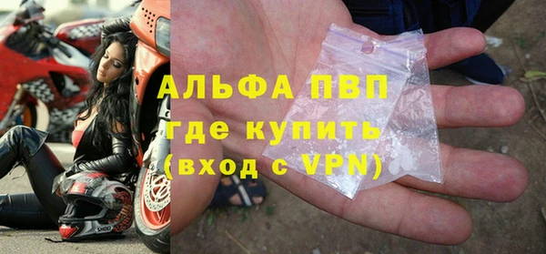 сатива Козловка